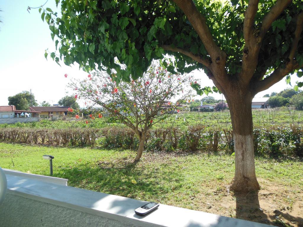 Helonata Apartments อาร์คูดี ภายนอก รูปภาพ